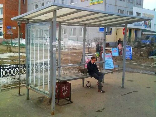 Союз выставок рф. Союз эжва. Гаражная 9 сыктывкар. Союз эжва. Союз эжва.