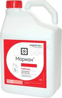 5 500 в августе