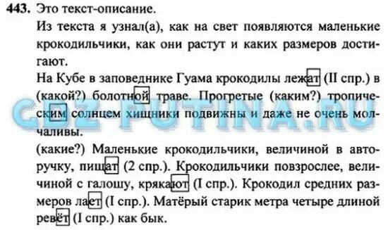 Русский язык 3 класс 2 часть упр 443. Русский язык Рамзаева 4 класс упражнение 299. Русский язык класс 3 учебник 2 часть упр 443. Русский язык 4 класс Автор Рамзаева страница 43 упражнение 362 часть 2. Русский язык 208 страница