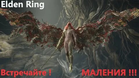 Гниющий элден