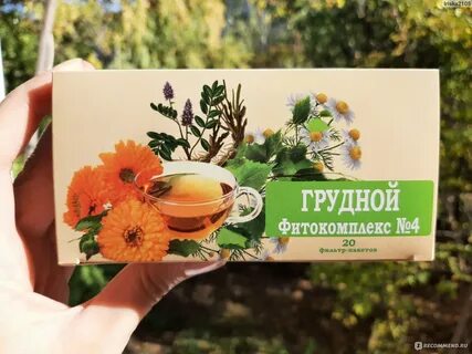 Травы от простуды самые эффективные