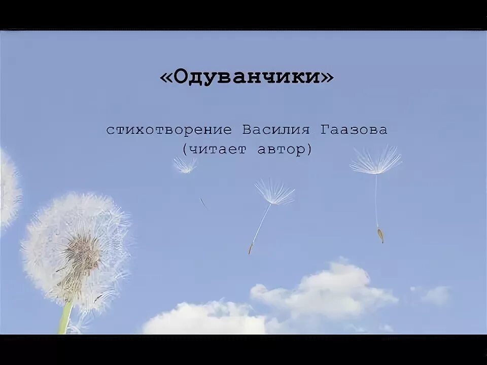Одуванчик цитаты афоризмы. Цитаты про одуванчики. красивые высказывания про одуванчики. статус про одуванчик. одуванчик выражение.