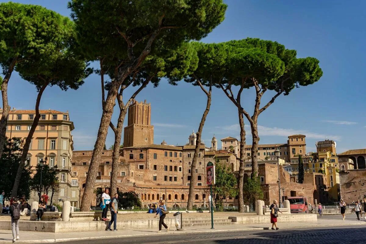 Окрестности рима. Рим достопримечательности. Деревья в Риме. Италия Рим фото.