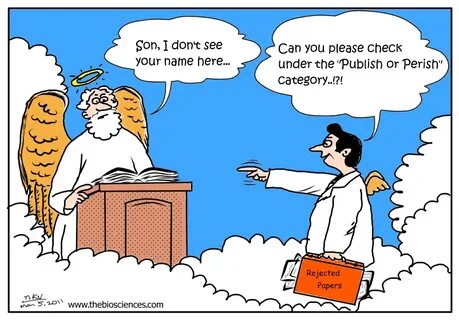Publish перевод