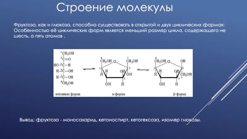 Глюкоза представитель моносахаридов химические свойства. Строение фруктозы биохимия. Глюкоза представитель моносахаридов строение. Глюкоза представитель моносахаридов химическое строение. И глюкоза и фруктоза реагируют с