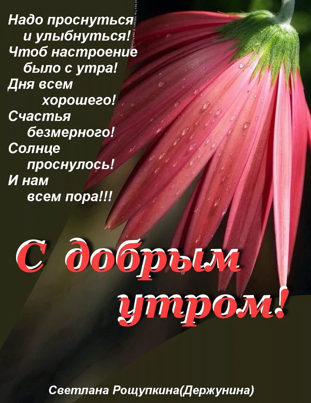 Проснулись улыбнулись. Просыпаемся улыбаемся с добрым утром. проснулись улыбнулись потянулись с добрым утром. открытки проснулись улыбнулись потянулись. просыпайтесь улыбайтесь с добрым утром.