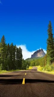 Android road