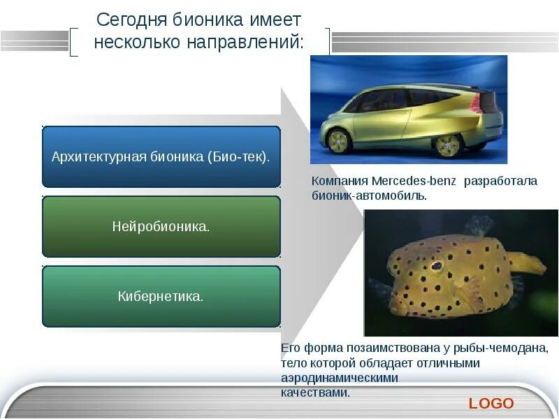 Бионика презентация. Биологическая Бионика. Техническая Бионика. Основные направления науки Бионика. Направления бионики