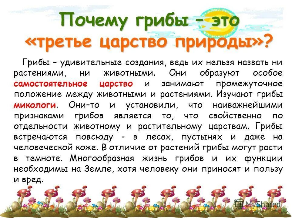 Царство грибов 3 класс. Окружающий мир царство грибов. Сочинение на тему грибы это удивительное царство 5. Царство грибов 3 класс окружающий мир.