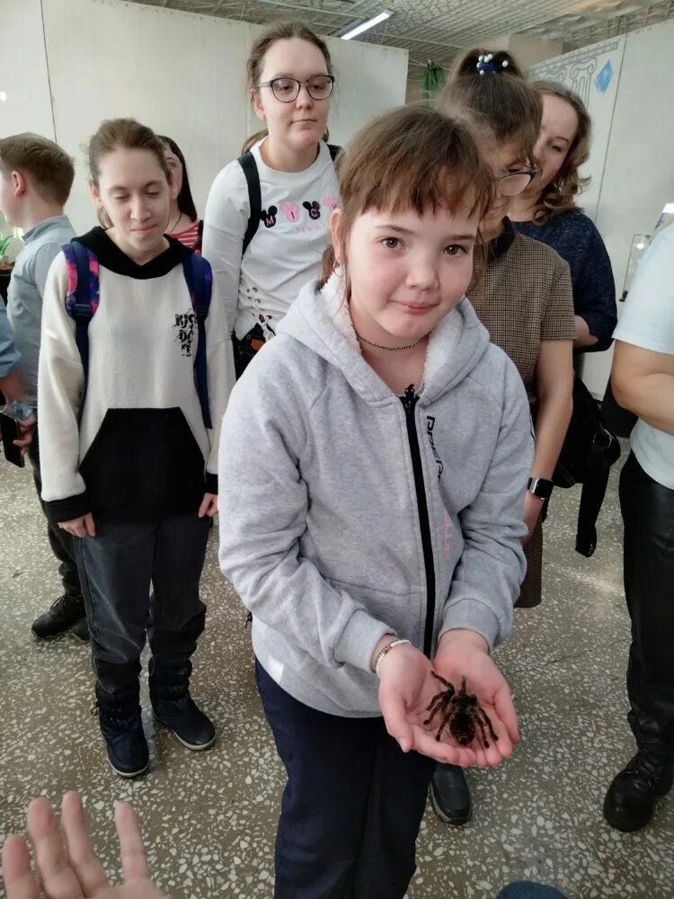 Тц июнь выставка пауков. Выставка пауков. Самый маленький паук в мире название. Выставка пауков. Выставка пауков челны 2024.