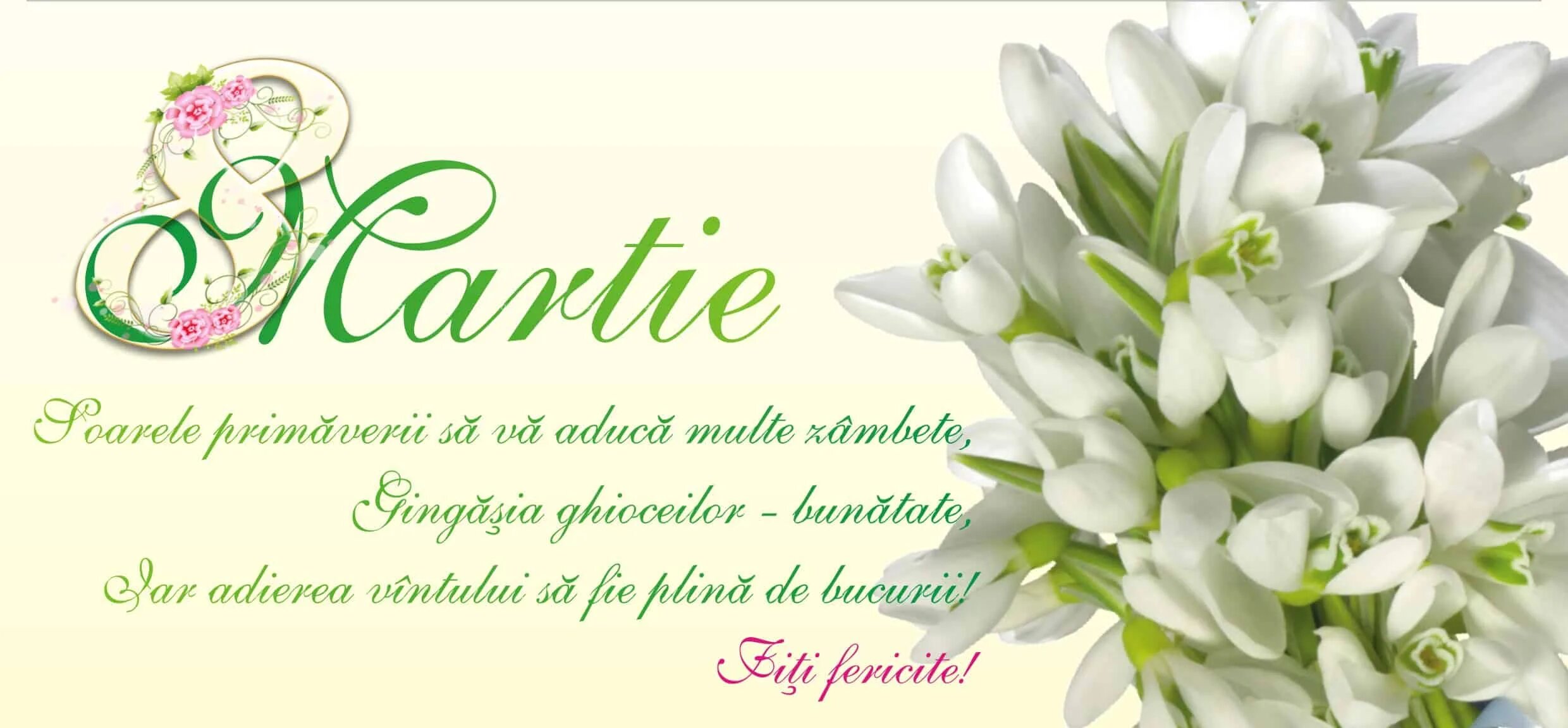 Порода собак ши-тцу. Ku 8martie. Собачки породы ши тцу. 8 martie. De 8 martie открытки.