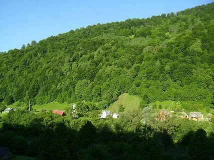 Закарпаття