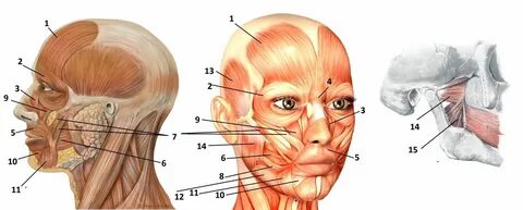 ВКонтакте желісіндегі жетілген әйелдің ессіз суреті