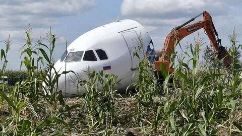 Какой самолет сел в кукурузное поле