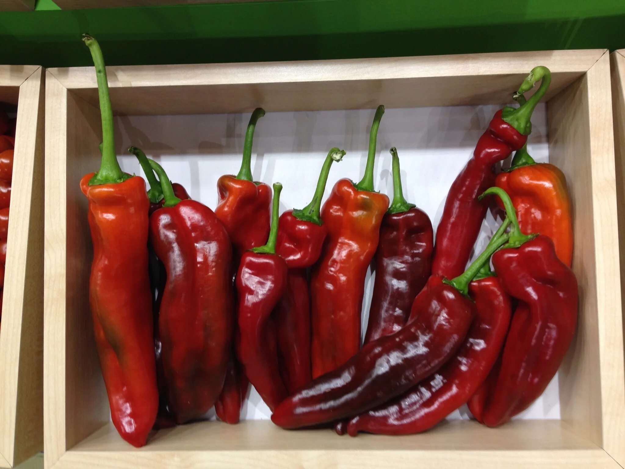 Палермо шоколадный f1 сладкий перец. Молния черная f1 седек. Перец риалто f1. Перец палермо f1. Перца свит палермо шоколад.