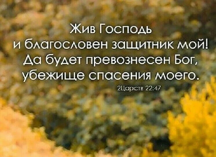 Жив Господь и Благословен защитник мой. Жив Господь. Господь наш защитник. Благословен Господь мой избавивший меня. Песня жив господь