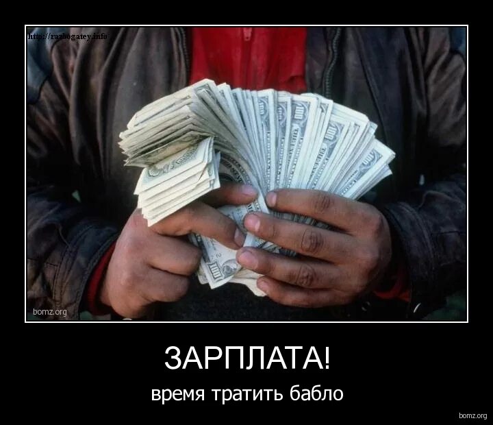 много денег. потрать бабло. человек с деньгами в руках. мужчина с долларами. деньги.