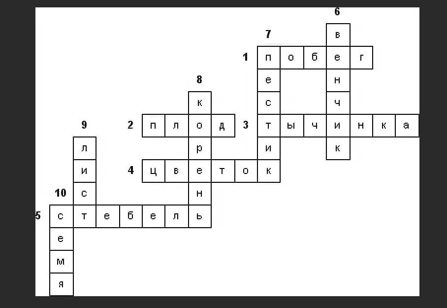 Кроссворд видоизменения побегов 6 класс биология. Биология 6 класс кроссворд на тему видоизменение побегов. Кроссворд на тему органы цветковых растений. Кроссворд по теме органы цветковых растений. Биология 6 класс кроссворд на тему плоды