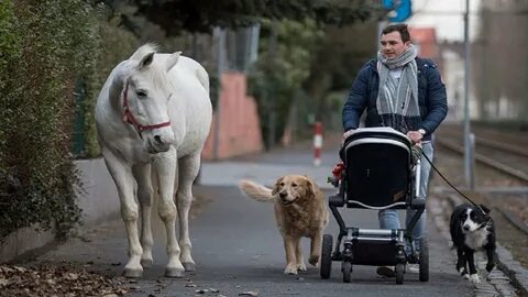 Stroll around