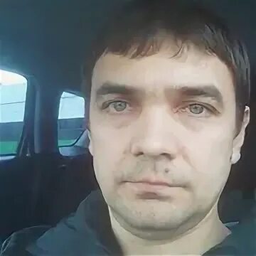 Нова скрипкин