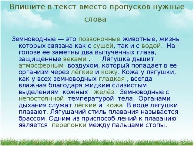 Найдите три ошибки в тексте земноводные. Земноводные это животные жизнь которых связана как. земноводные это животные жизнь которых связана как с так и с. земноводные это позвоночные животные жизнь которых связана как с. земноводные это 1 животные, жизнь которых связана как с.