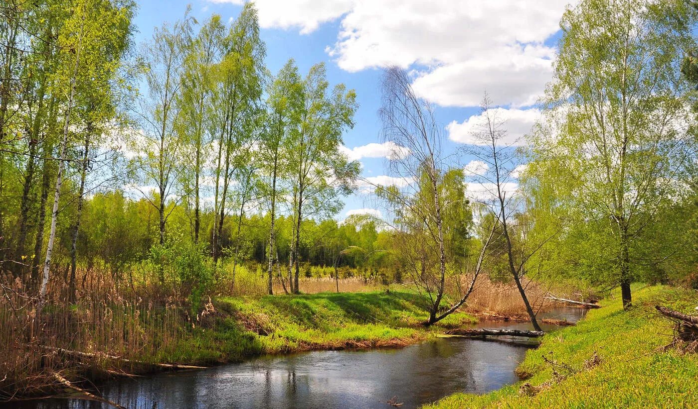 Начала весны среднем начало. Природа России весной. Весенний пейзаж. Весенняя природа. Весенние пейзажи России.