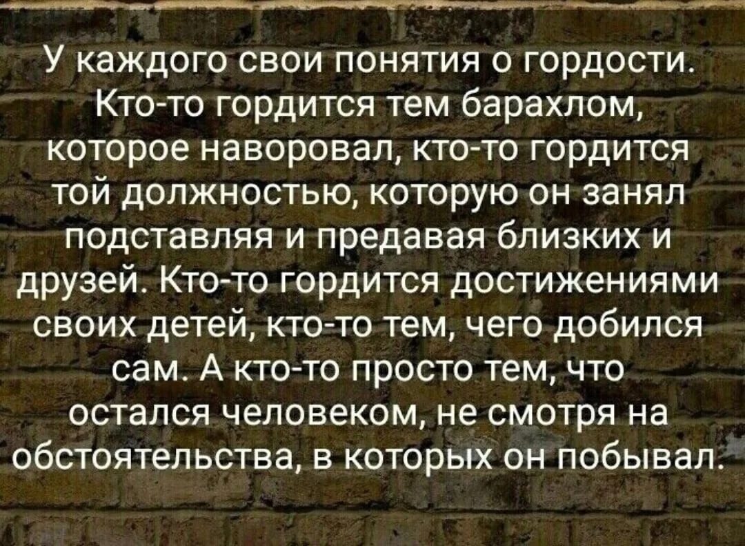 У каждого свои понятия о гордости. Афоризмы про гордость. Афоризмы про гордыню. Гордыня цитаты.