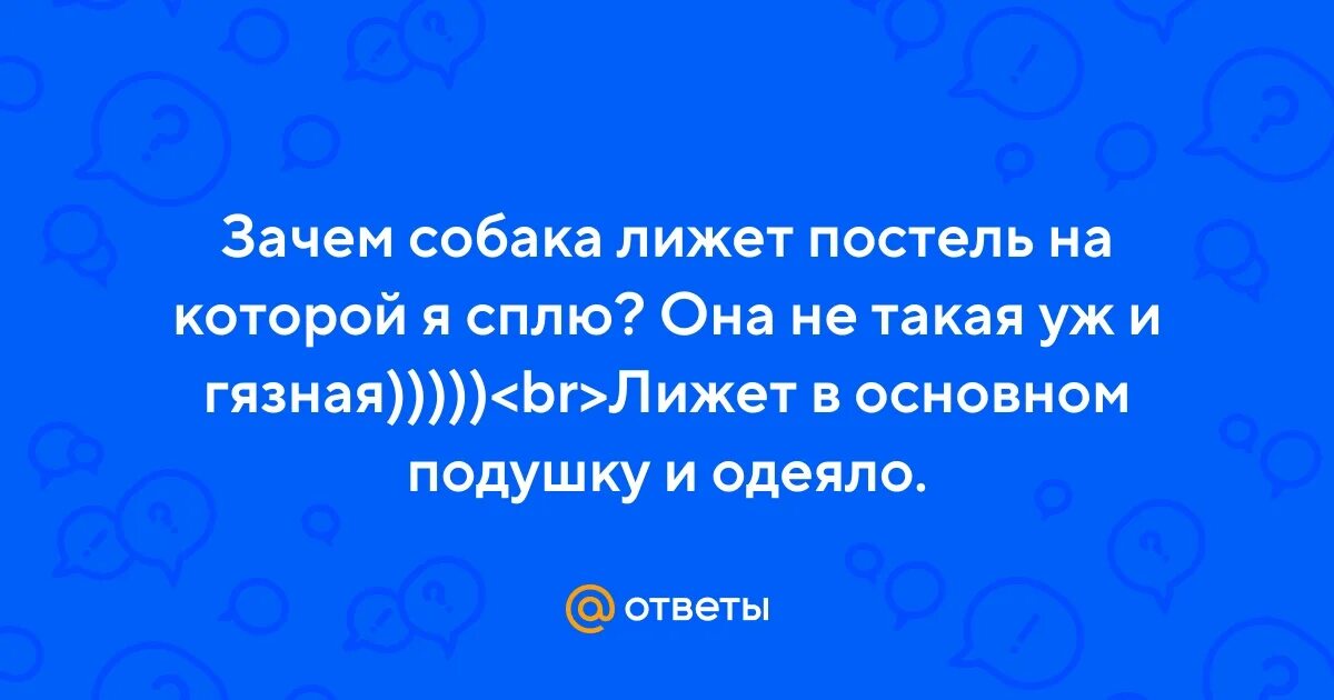 Почему собака все лижет