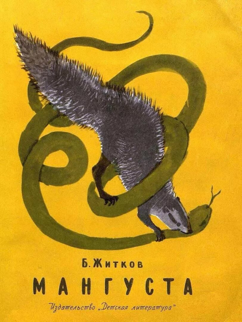 Книга Житкова мангуста. Иллюстрации к рассказу Житкова мангуста. Мангуста рассказ житкова