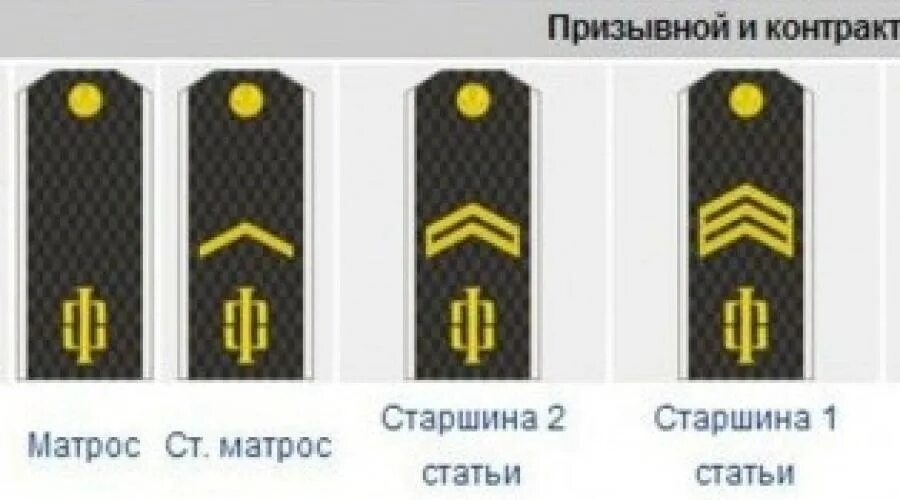 Состав матросов. Воинские звания и погоны ВМФ.