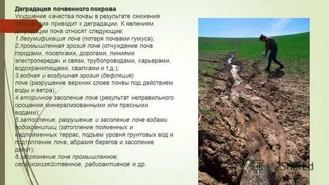 Причины деградации почв