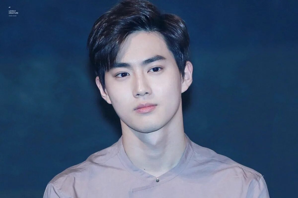 Suho exo. Фото сухо. Сухо из exo. Ли су хо. Бекхён ехо.