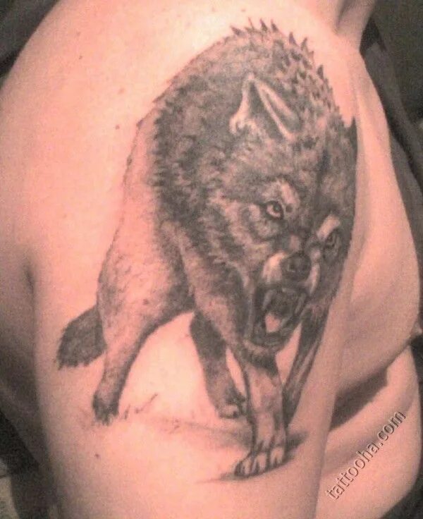 Фурри тюрьма. Волк наколка тюремное. Тату человек волк. Зоновские наколки волк. Волк зек.