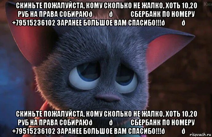 Киньте пожалуйста. Сколько не жалко картинка. Жалко прикол. Скиньте пожалуйста. Скиньте денег пожалуйста.