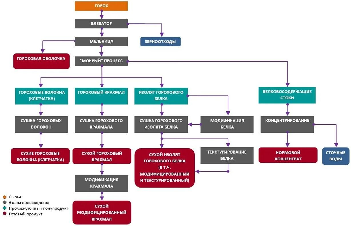 Переработка белков. Пути обезвреживания аминокислот. Пути расходования аминокислот. Продукты глубокой переработки. Процессы происходящие при тепловой обработке продуктов.