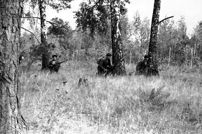 Партизаны 1942. Лес в годы великой отечественной. Лес в годы великой отечественной. Лес в годы великой отечественной. Брянском лесу партизанский отряд фрунзе.