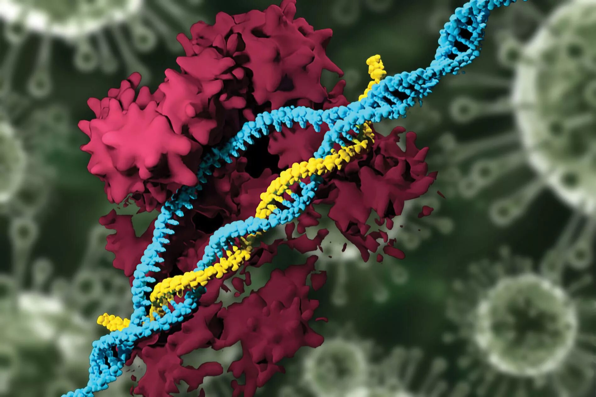 Генетика CRISPR. ДНК вирус коронавирус. Мутации микроорганизмов. Ферменты под микроскопом. Нуклеотид вируса