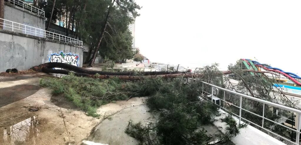 Упала сочи. Упала сочи. Горького. Река сочи. Сочи дороги.