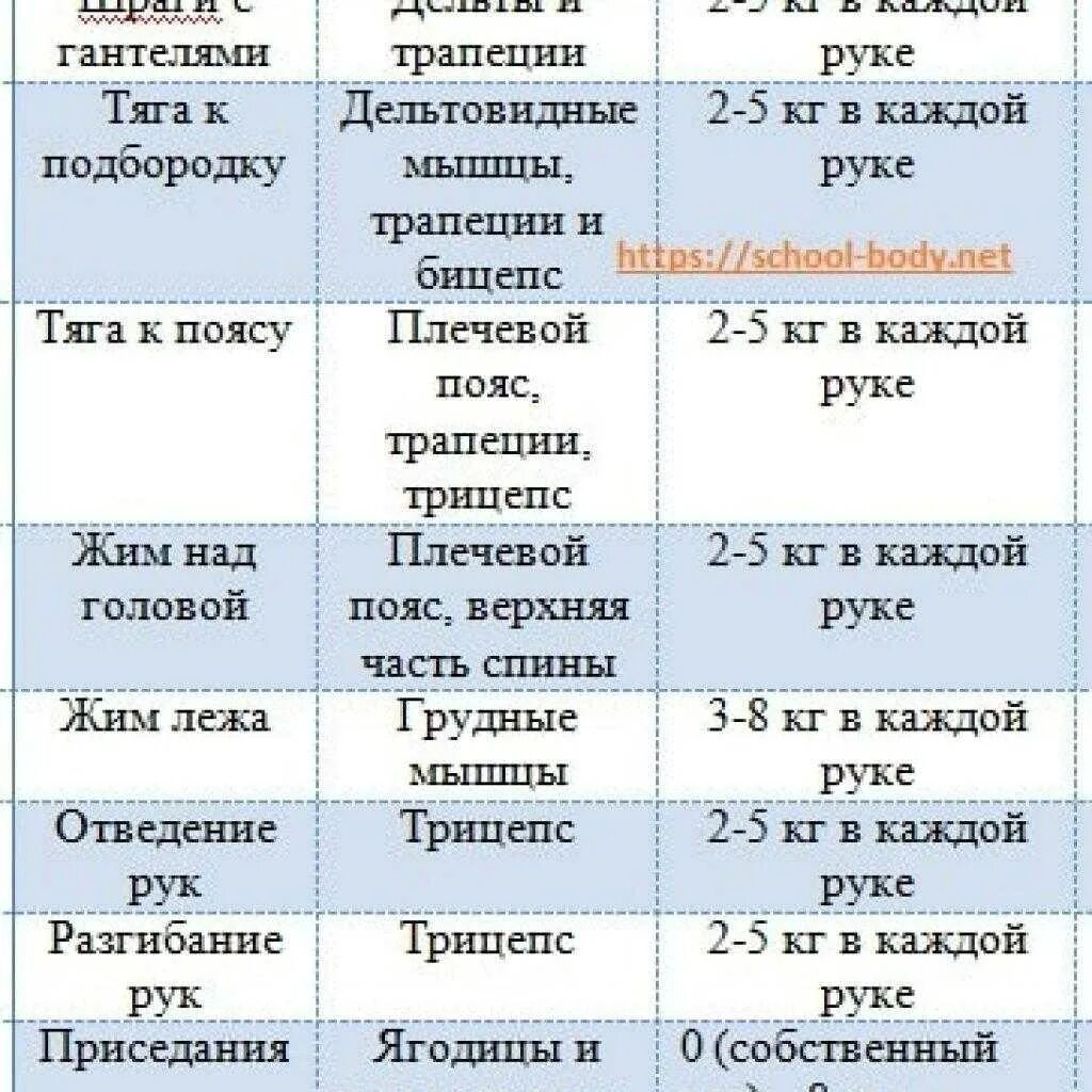Вес гантелей на бицепс. Вес гантелей на бицепс. Вес гантелей на бицепс. Вес гантелей на бицепс. Народный жим лежа нормативы на мастера.