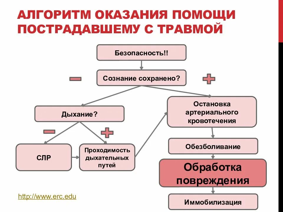 Универсальный алгоритм оказания помощи. Оказание помощи с механической травмой. Алгоритм оказания помощи механических травм. Алгоритм первой помощи при механических травмах. Схема алгоритмы оказания помощи обмена веществ..