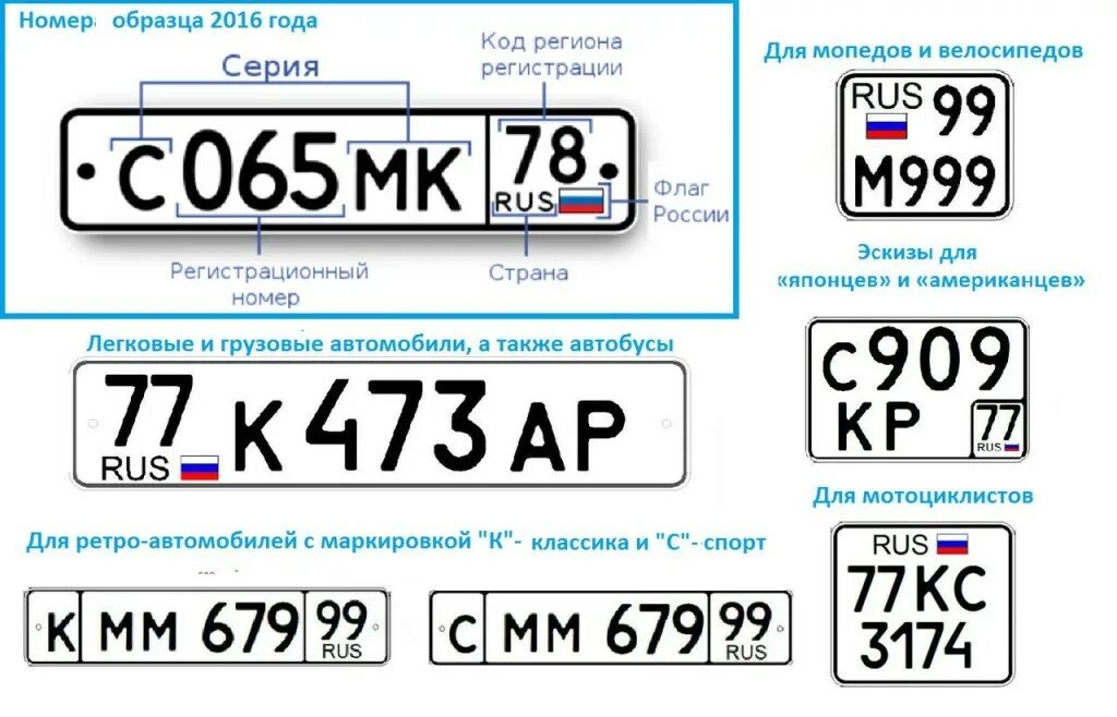 210 регион россии для автомобилей какой. Номерной знак в652сх09. Автомобильный номер образец. Регистрационный номерной знак. Образец гос номера авто.