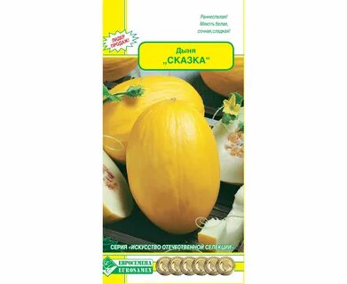 Дыня сказка описание сорта