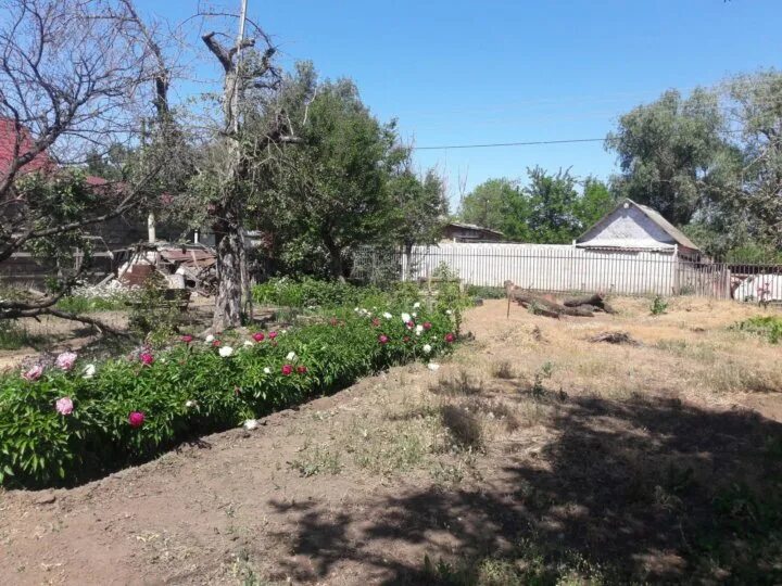 Погода куйбышев среднеахтубинский район. Госпитомник Среднеахтубинский район. Госпитомник Волгоградская область. Хутор Госпитомник. Волгоград Среднеахтубинский район Госпитомник.