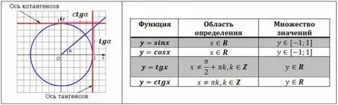 Область синуса