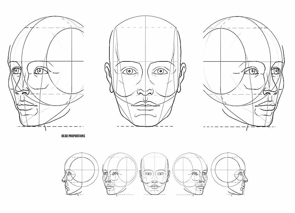 Рисунок лица 1 3. Пропорции головы человека референс. Построение портрета сбоку. Пропорции портретов сбоку. Портрет поэтапно пропорции.