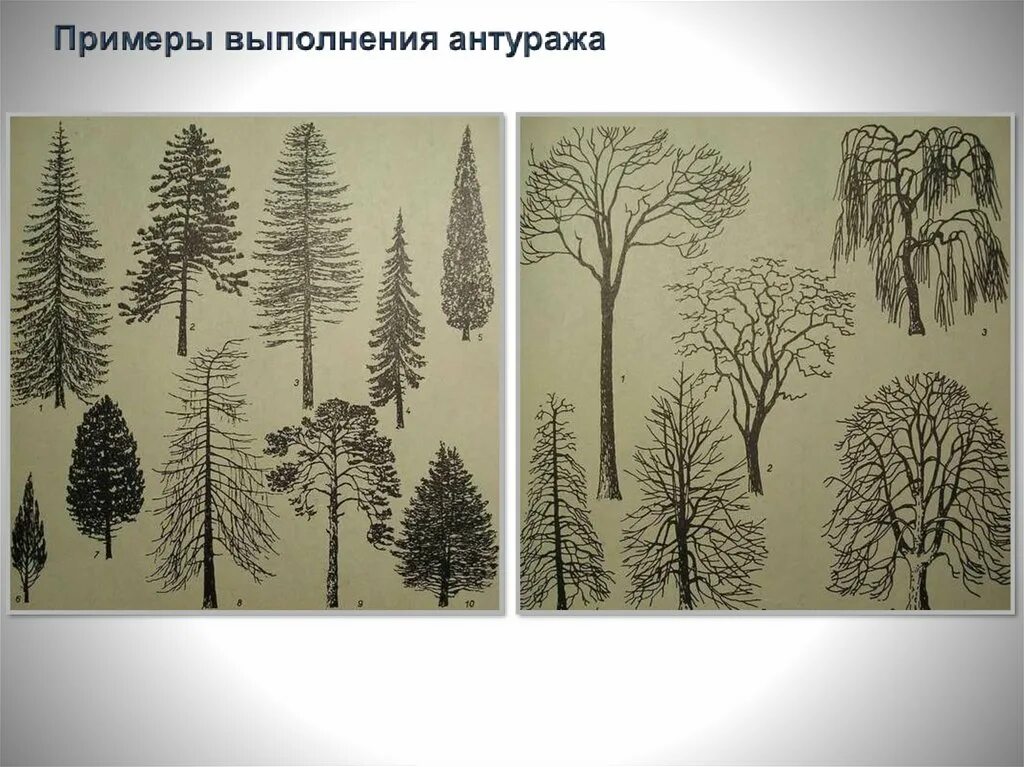Песня антураж. Антураж деревья. стаффаж. примеры выполнения антуража. антураж это простыми словами.