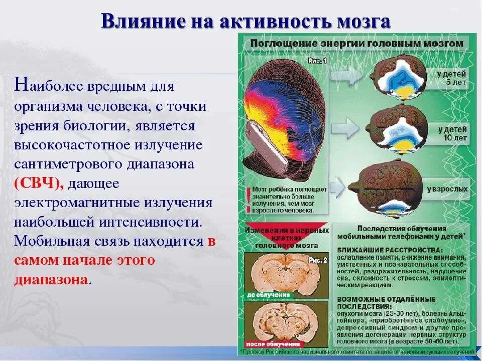 Факторы влияющие на мозг. Энергетики влияют на мозг. Поглощение энергии головным мозгом. Влияние на активность мозга.