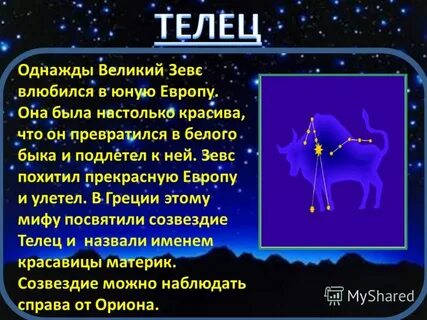 Факты о созвездии тельца
