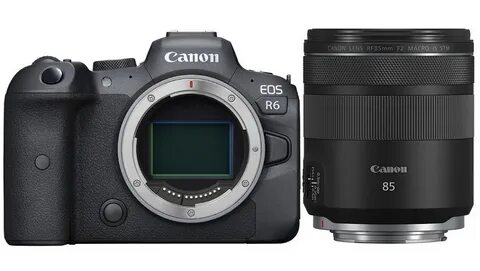 Canon r6 ii body