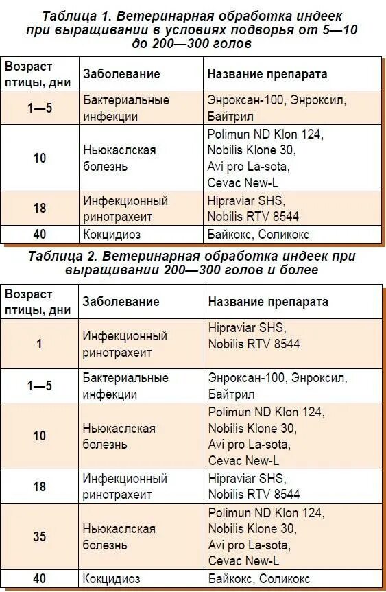 Вакцинация бройлеров схема. Вакцинация индюков схема. Схема пропаивания бройлеров лекарствами. Схема выпойки бройлеров антибиотиками и витаминами.